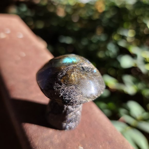 Laboradite hand carved mushroom 3" - Picture 10 of 10